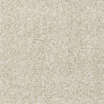 https://www.sarayrugs.com.au/wp-content/uploads/2018/04/Sierra-6365-Beige-Detail.jpg