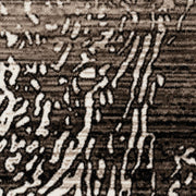 https://www.sarayrugs.com.au/wp-content/uploads/2019/10/Desire-3445-Brown-Detail.jpg