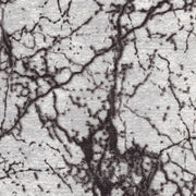 https://www.sarayrugs.com.au/wp-content/uploads/2019/10/Opera-2794-Lt-Grey-Detail.jpg