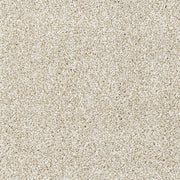https://www.sarayrugs.com.au/wp-content/uploads/2018/04/Sierra-6365-Beige-Detail.jpg
